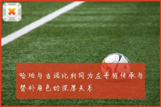 哈珀与吉诺比利同为左手将传承与替补角色的深厚关系